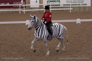 Lusitano Breed Society of Great Britain Show - Hartpury College - 27th June 2009